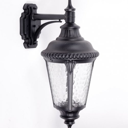 Настенный фонарь уличный Oasis Light 79752S Bl