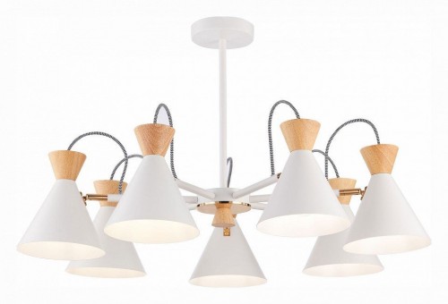 Потолочная люстра Evoluce Modica SLE125102-07