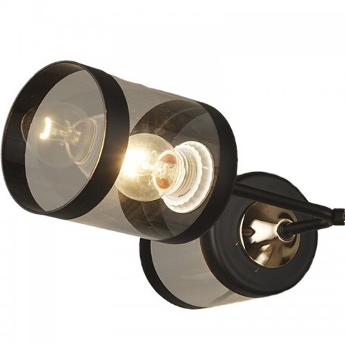 Потолочный светильник Reluce 03592-0.3-04 FGD+BK