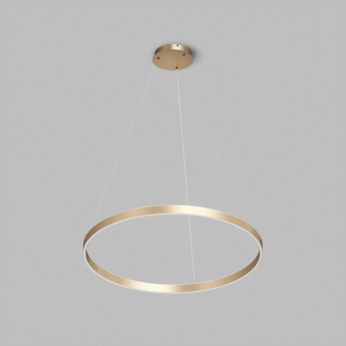 Подвесной светильник Denkirs RAYDIA DK6272-SG