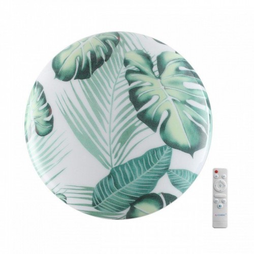 Настенно-потолочный светильник Sonex Flori 7748/DL