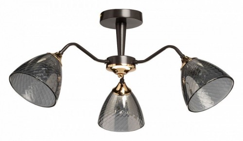 Потолочная люстра De City Альфа 115010303