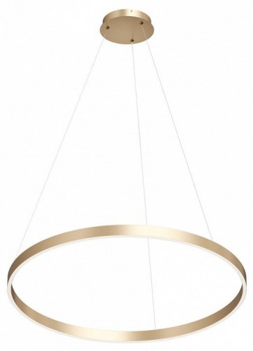 Подвесной светильник Denkirs RAYDIA DK6272-SG