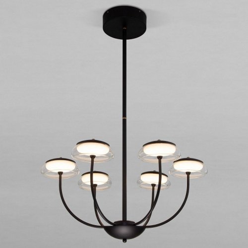 Потолочная люстра Eurosvet Fungo 50388 LED Черный