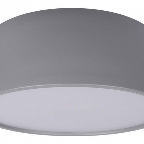 Потолочный светильник Loft IT Axel 10201/350 Grey
