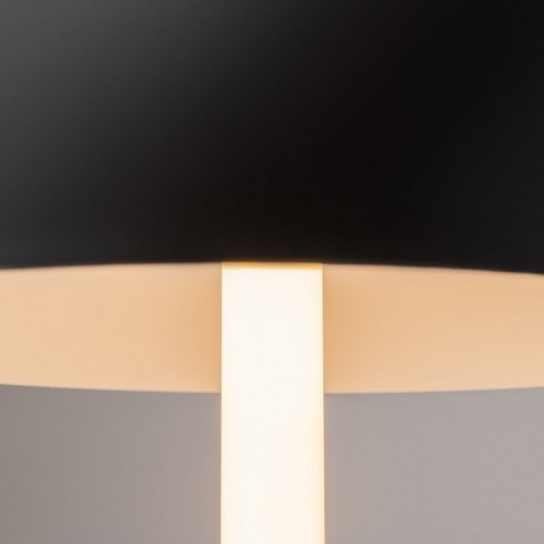 Настольная лампа Maytoni Ray Z012TL-L8B3K