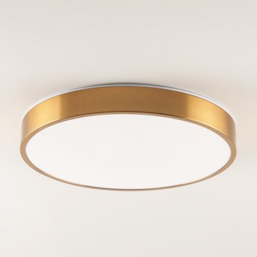 Потолочный светильник Zortes Tortty ZRS.02566.72