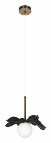 Подвесной светильник Loft IT Monro 10213/A Black