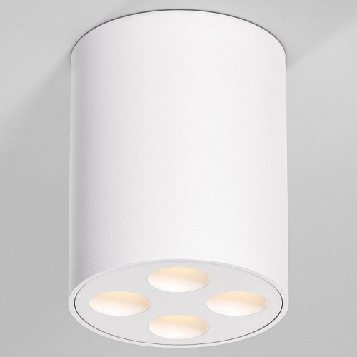 Потолочный светильник Elektrostandard 25111/LED a067482