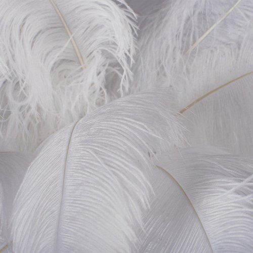 Торшер Bijout 10067F/SG White