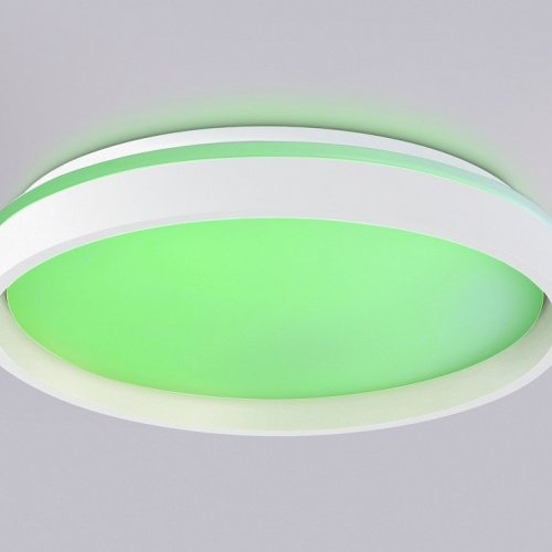 Накладной светильник Ambrella Light FZ FZ607 Накладной светильник Ambrella Light FZ FZ607