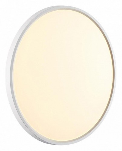 Настенно-потолочный светодиодный светильник Sonex Mitra Alfa White 7659/40L