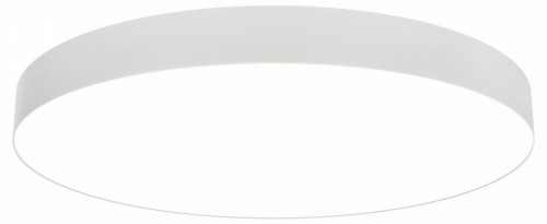 Потолочный светильник Maytoni Zon C032CL-90W3K-RD-W