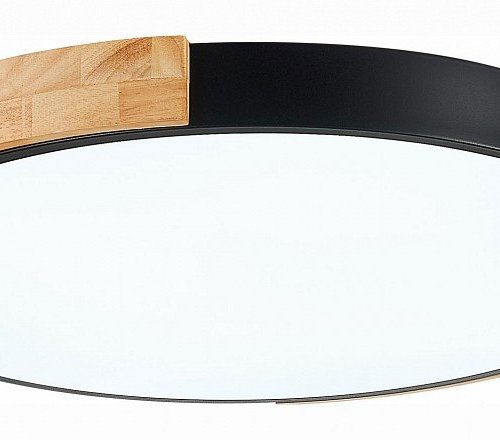 Потолочный светильник Evoluce Delia SLE201342-01