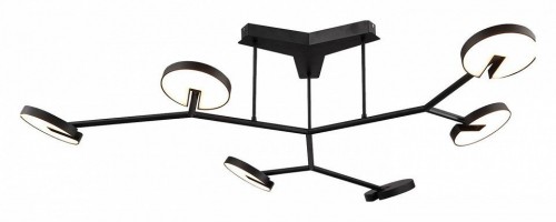 Потолочная люстра Favourite Paritet 4401-6C