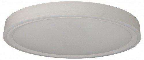 Потолочный светильник Zortes Bella ZRS.1200.07