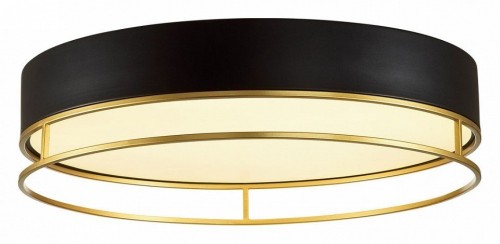 Потолочный светильник Sonex Lofty 7723/65L