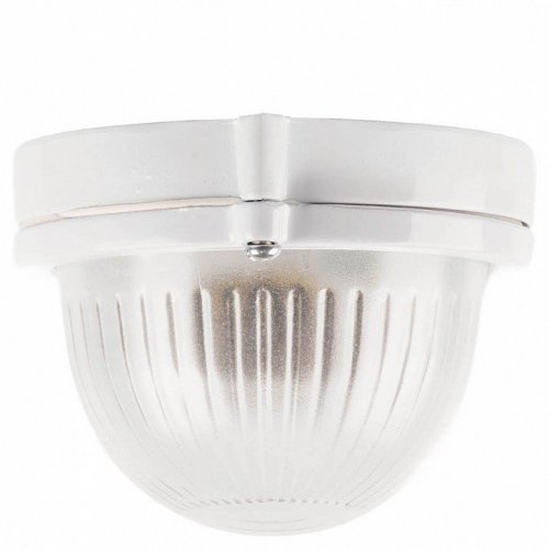 Настенно-потолочный светильник Feron НБП 04-60-001 53170