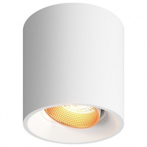 Точечный светильник Denkirs DK3090-WBR