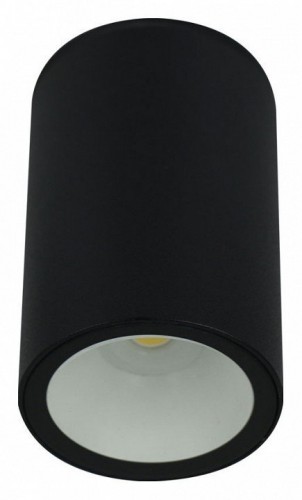 Потолочный светильник уличный Arte Lamp Torcular A1807PF-1BK