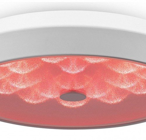 Накладной светильник Freya LED FR10012CL-L24W