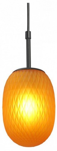 Потолочная люстра Vitaluce V2821-1/1S