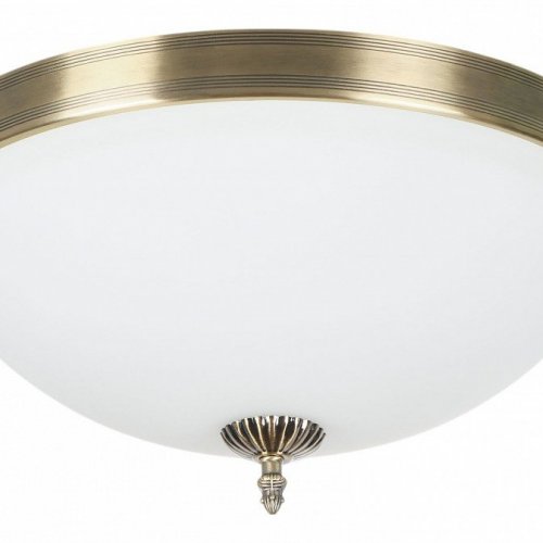 Потолочный светильник MyFar Biene MR1528-4C Потолочный светильник MyFar Biene MR1528-4C