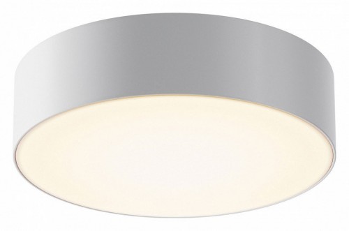 Потолочный светильник уличный Maytoni Zon IP O431CL-L30W3K