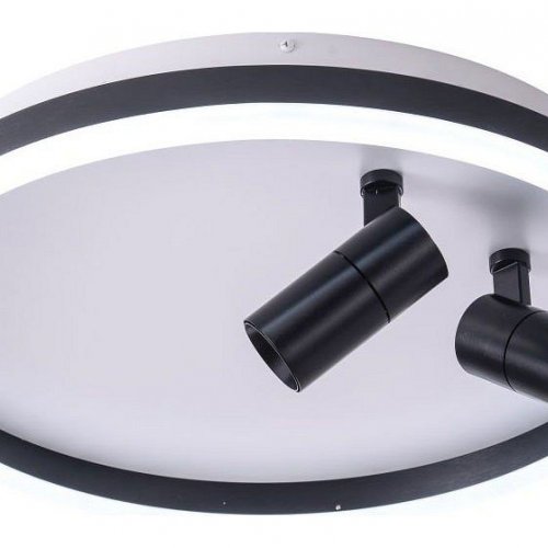 Потолочный светильник Zortes Raizy ZRS.1888.01 Потолочный светильник Zortes Raizy ZRS.1888.01