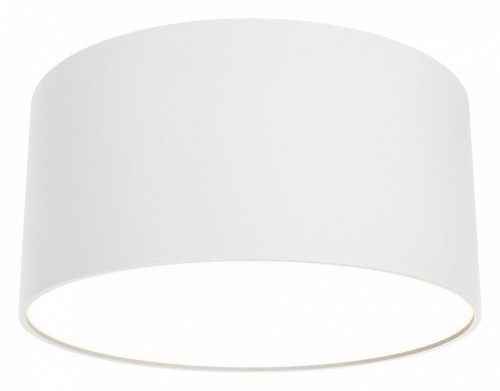 Потолочный светильник Maytoni Zon C032CL-12W3K-RD-W Потолочный светильник Maytoni Zon C032CL-12W3K-RD-W