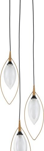 Подвесная люстра Indigo Fiore 13001/3P Black V000143