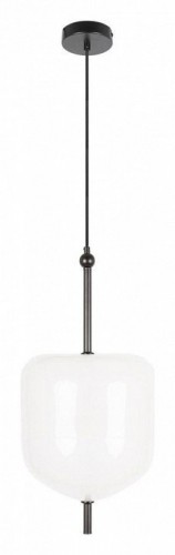 Подвесной светильник Loft IT Venice 10223/D White