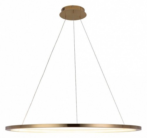 Подвесной светодиодный светильник Loft IT Ring 10014XL