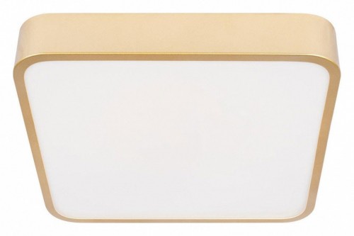 Потолочный светильник Loft IT Flims 10228/C