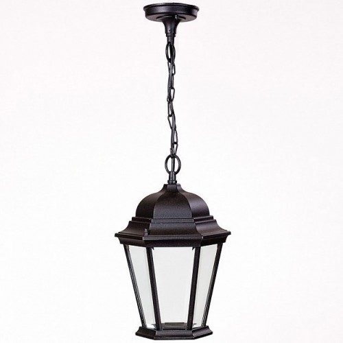 Уличный светильник подвесной Oasis Light 91405L Bl