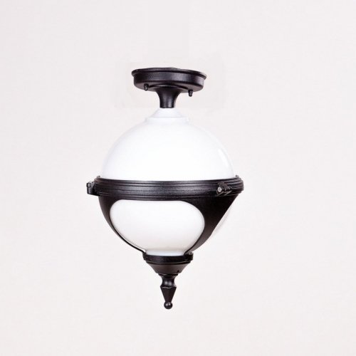 Потолочный светильник уличный Oasis Light VENA 88405A Bl