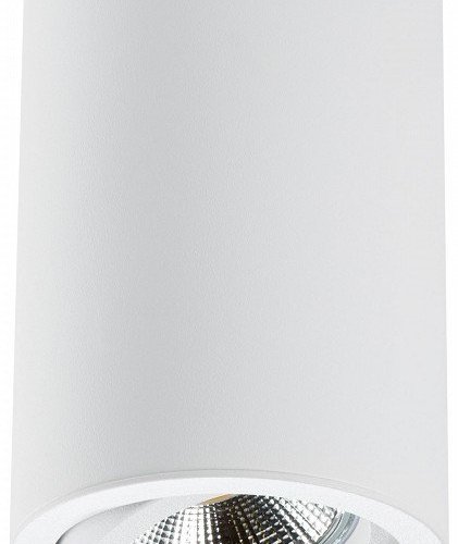 Накладной светильник Lightstar Rullo 214406