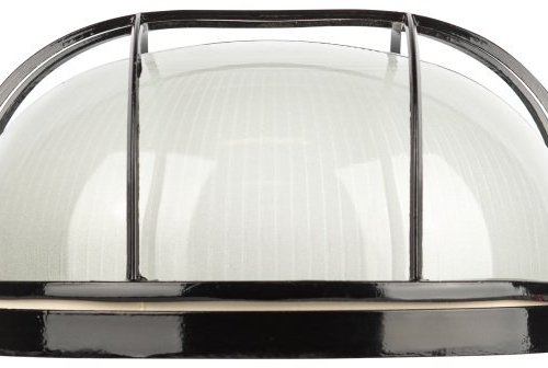 Настенно-потолочный светильник НБП 03-100-002 в инд. упаковке НБП 03-100-002 черный