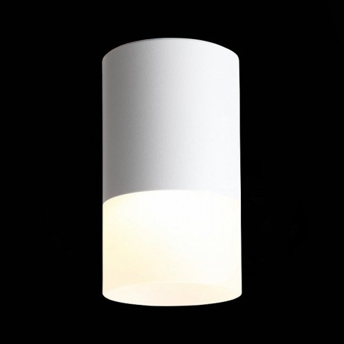 Потолочный светодиодный светильник ST Luce Ottu ST100.502.05 Потолочный светодиодный светильник ST Luce Ottu ST100.502.05