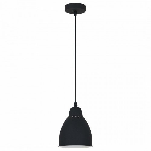 Подвесной светильник Arte Lamp Braccio A2054SP-1BK