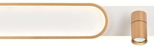 Настенно-потолочный светильник Favourite Planar 4075-2C