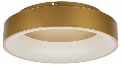 Потолочный светильник MyFar Shannon MR2195-1PL Потолочный светильник MyFar Shannon MR2195-1PL