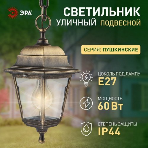 Подвесной светильник Эра  НСУ 04-60-001 бронза