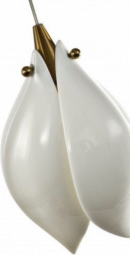 Подвесной светильник Zortes Dalin ZRS.90609.01