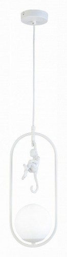 Подвесной светильник Evoluce Tenato SLE115123-01