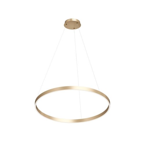 Подвесной светильник RAYDIA DK6272-SG