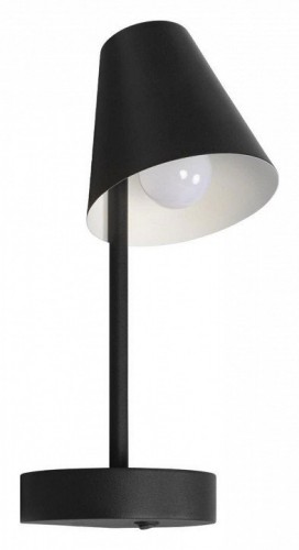 Настенный светильник Loft IT Shelf 10216/1W Black