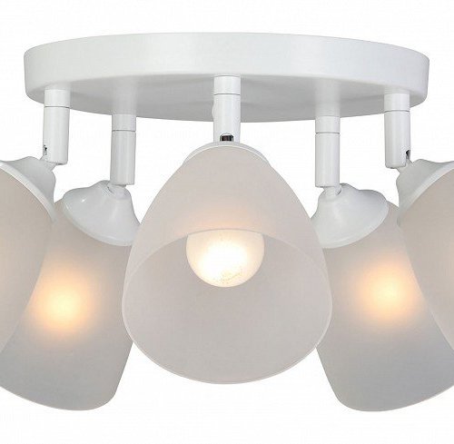 Потолочная люстра Vitaluce V4355-0/5PL