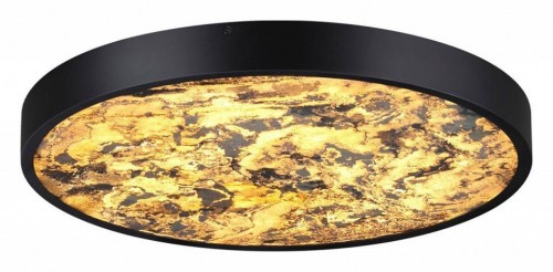 Настенно-потолочный светильник Odeon Light Bergi 5064/40L