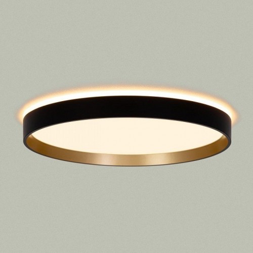 Накладной светильник Citilux ETALON CL750321R